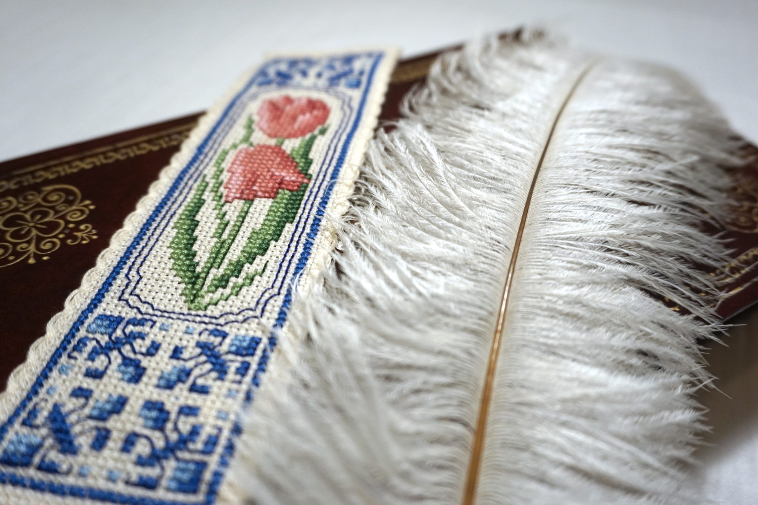 00-DSC07252